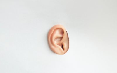 Ear Training for Beginners